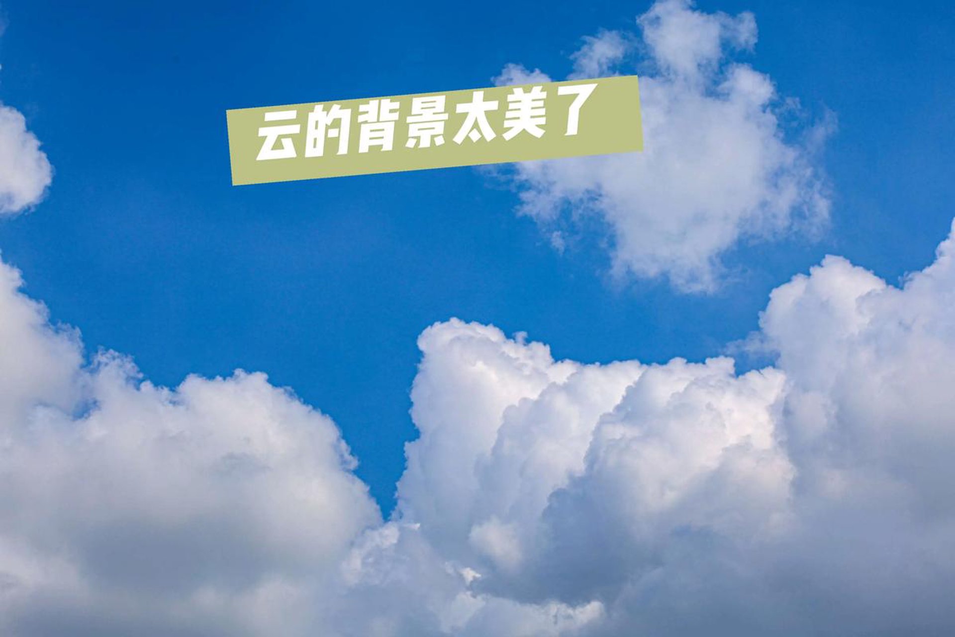 云卷云舒网